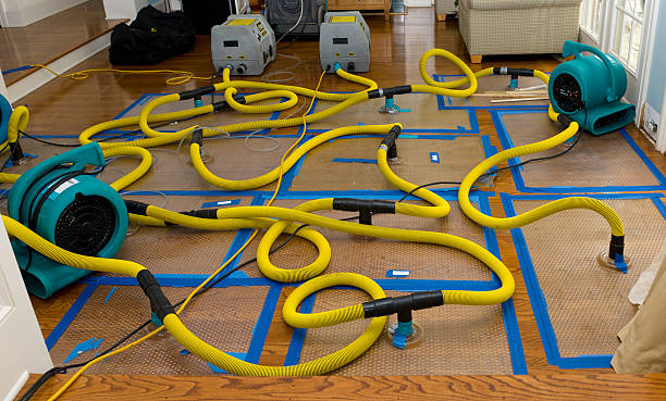 Professional Structural Drying And Dehumidification technician working in San Bruno, CA